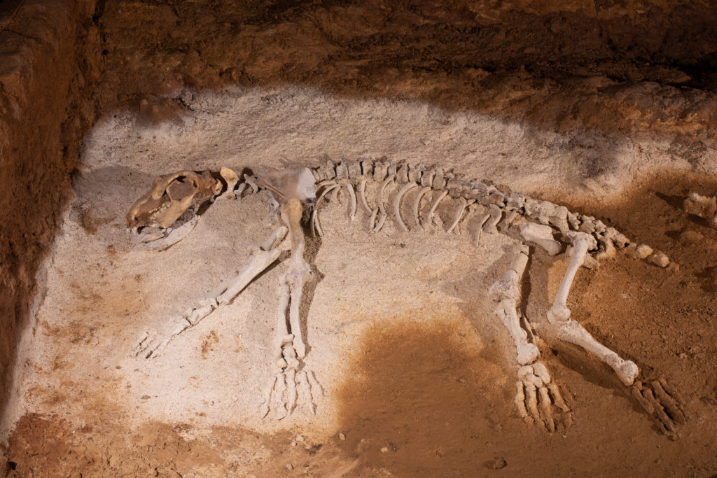 grotte préhistorique d'Azé grottes de bourgogne franche comté