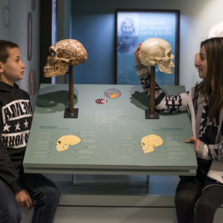 Ressources pédagogiques Cité de la préhistoire Aven d'Orgnac Ardèche