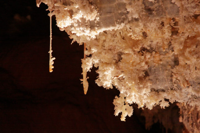 concrétion Anecat Grottes de France