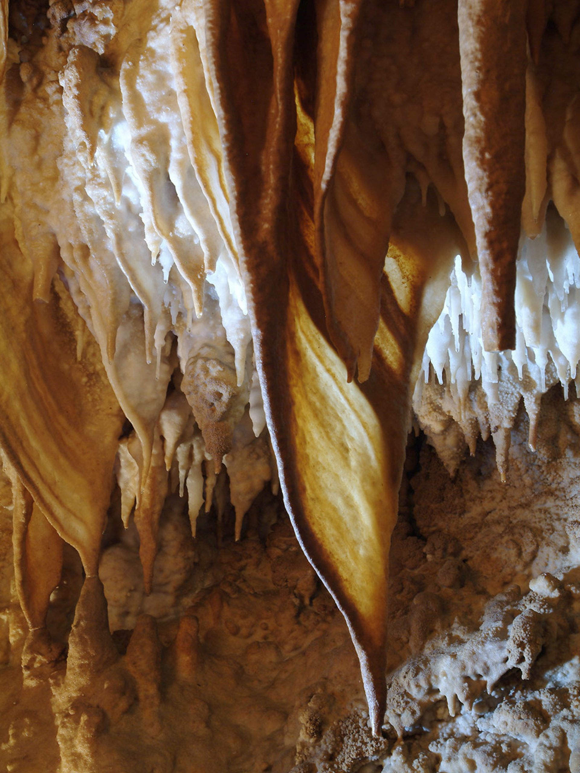 draperie Anecat Grottes de France grotte de villars dordogne