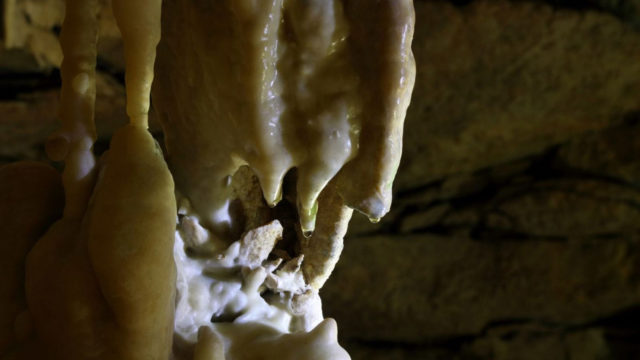 activite-famille-grotte-observatoire-monaco