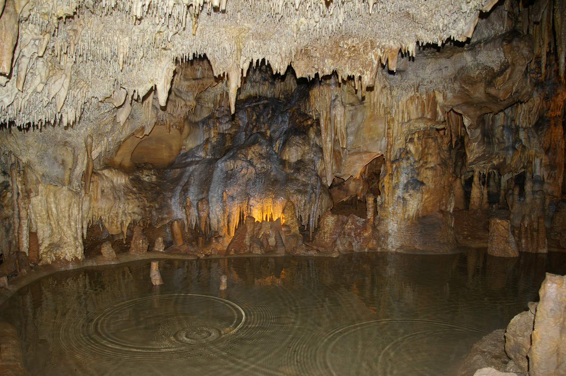 Grotte de Dordogne Périgord - Grotte de Domme