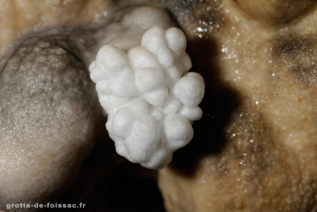 grotte-prehistorique-foissac-aveyron-pierreblanche