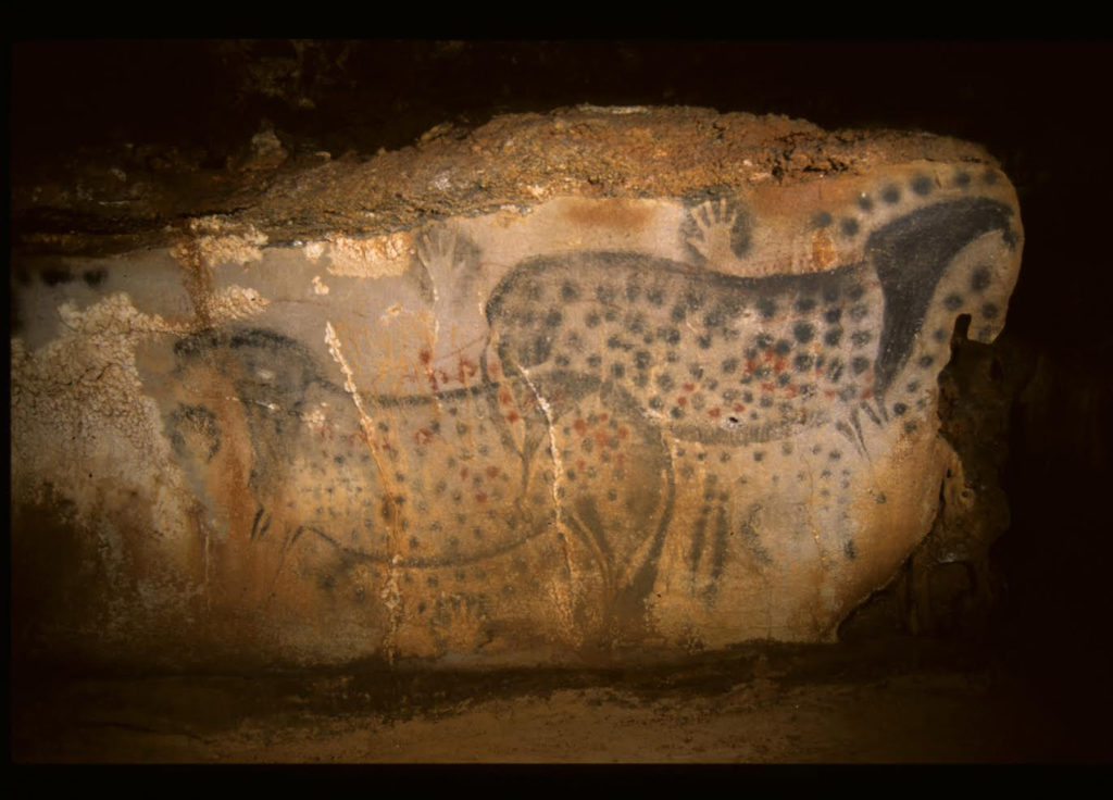 grottes de France : grotte préhistorique du Lot, grotte du Pech merle