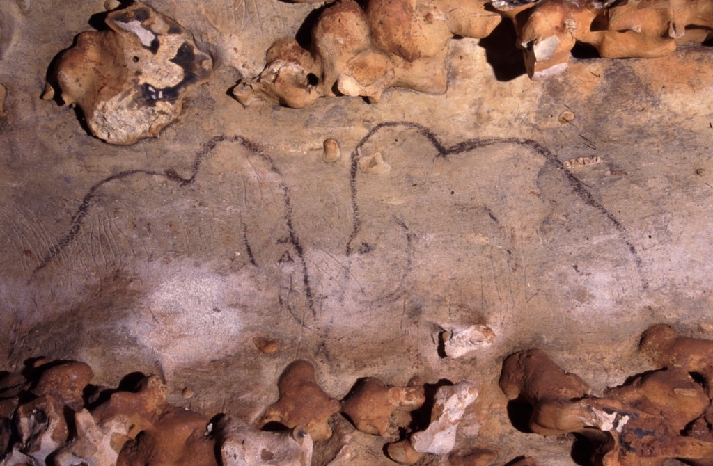 Grotte de Dordogne Périgord - Grotte de Rouffignac