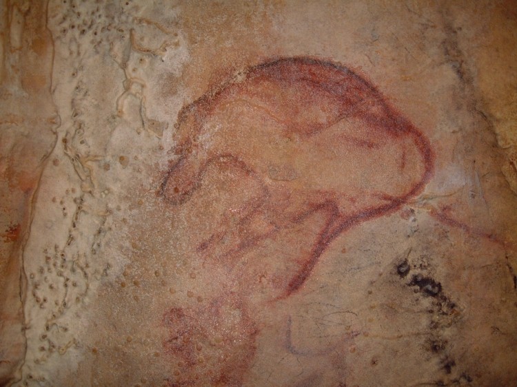 grottes préhistoriques d'Arcy sur cure - grotte de l'Yonne