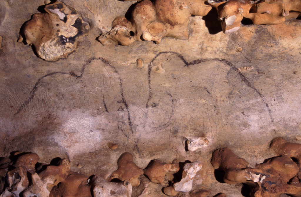grotte préhistorique de Rouffignac - grotte de dordogne