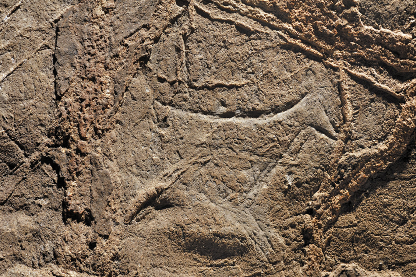 Les grottes préhistoriques - Fédération Française Tourisme Souterrain ...