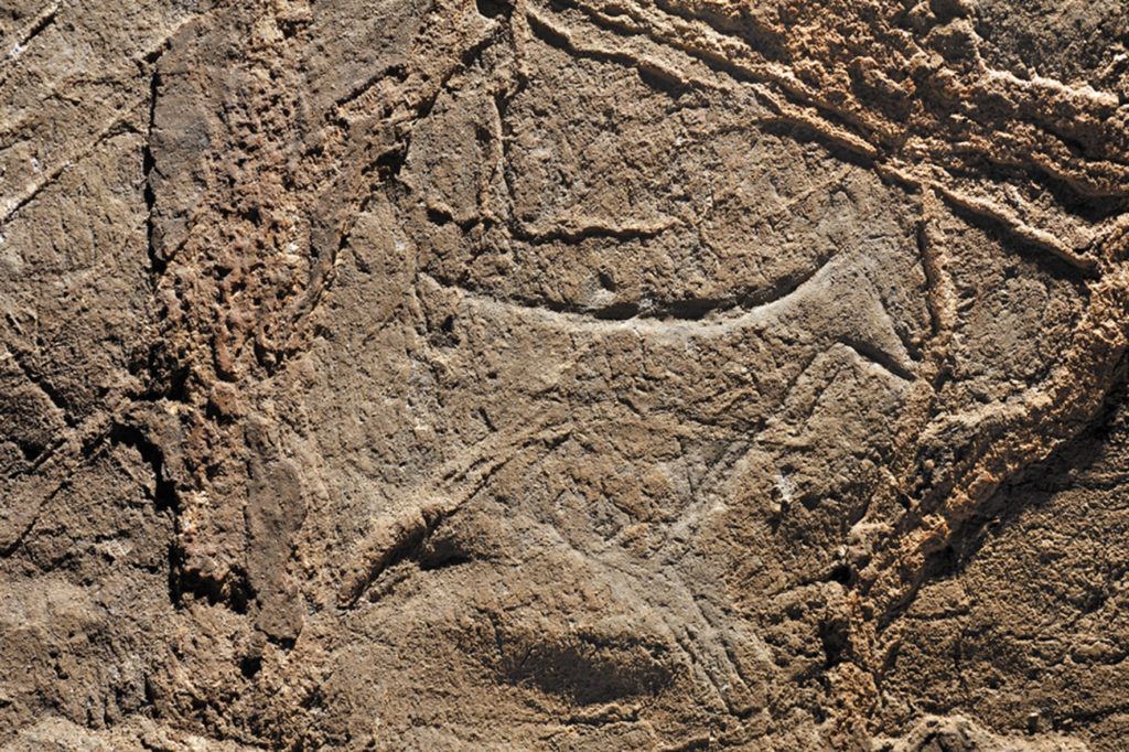 grotte préhistorique isturitz oxocelhaya grotte des pyrénées-atlantiques