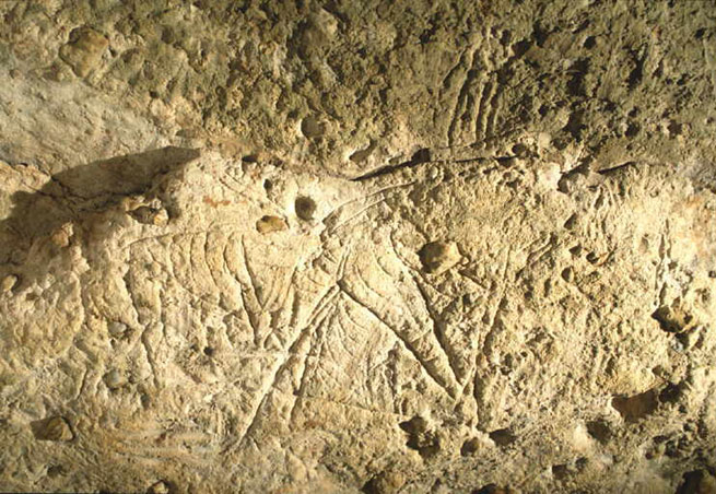 grotte préhistorique de bara-bahau - grotte de dordogne