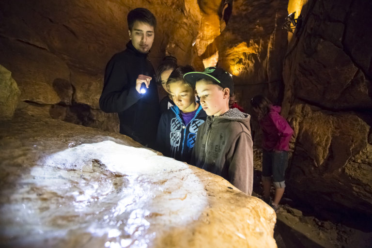 #JIGT2022 journée internationale des grottes grottes-de-st-christophe espace emploi grottes de France