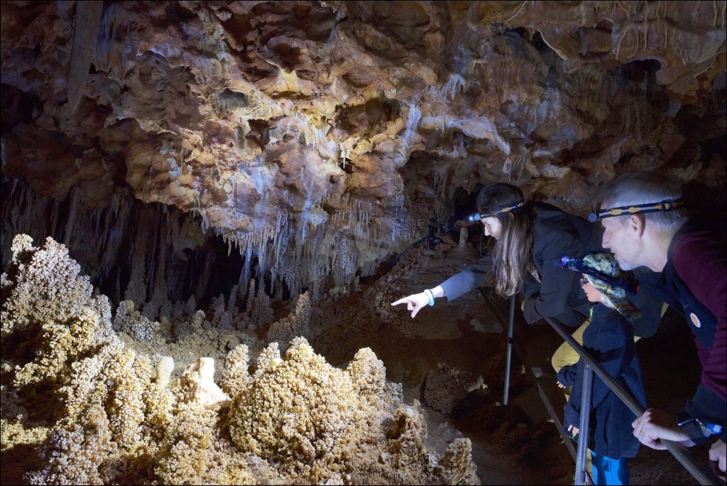 nicolas-legrand-aven-grotte-forestiere