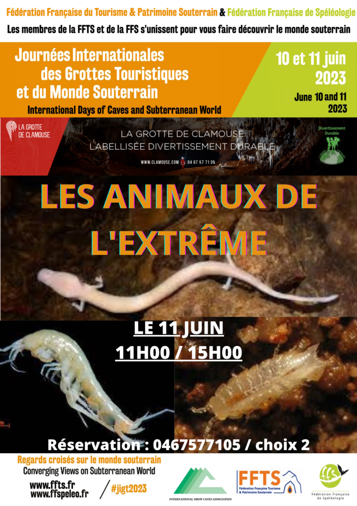affiche-jigt_grotte-de-clamouse_les-animaux-de-lextreme-11062023