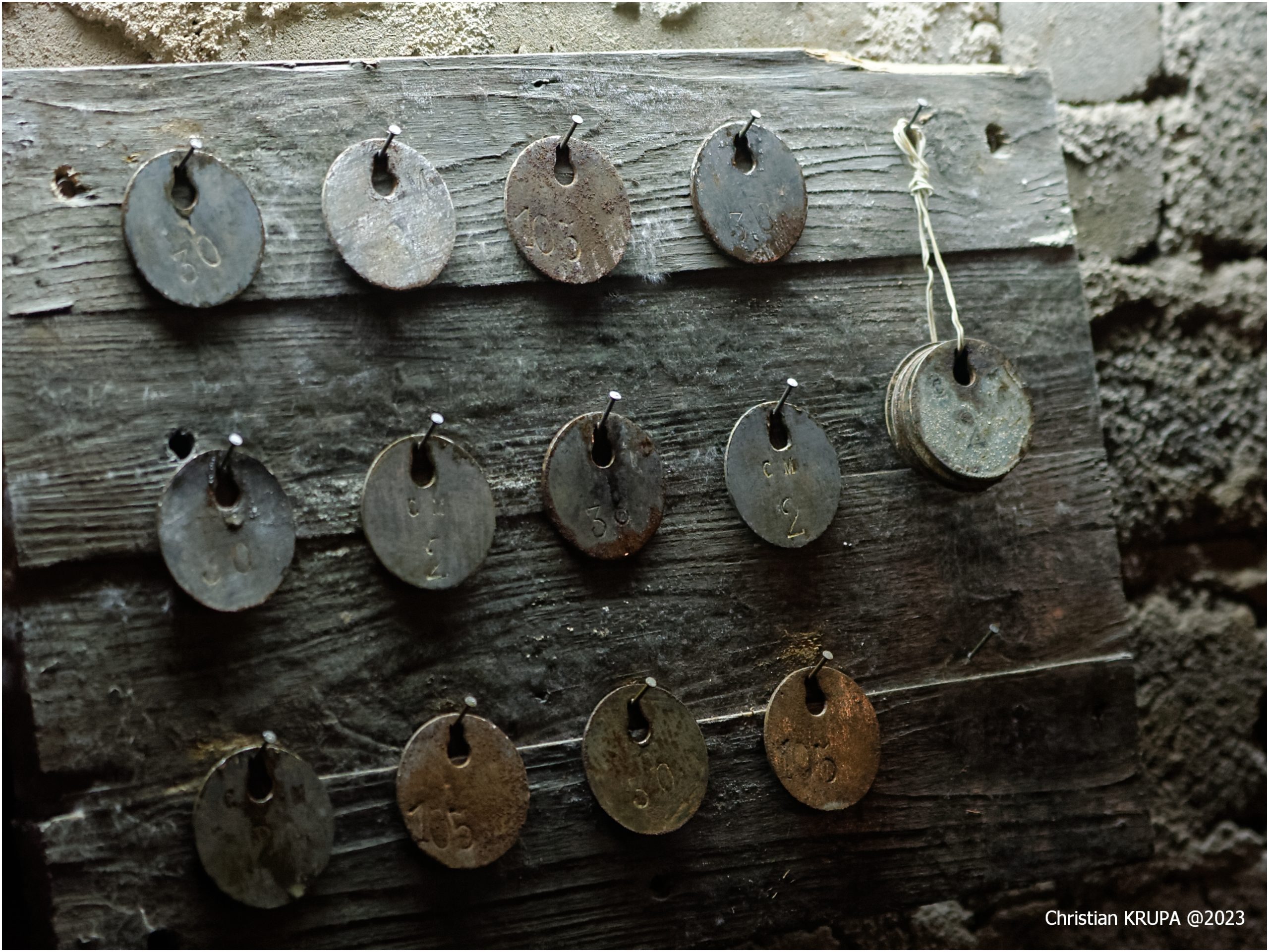 dsc_5054_dxo_2-scaled
