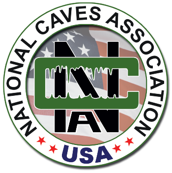 nca_logo-layers-2020-usa-2