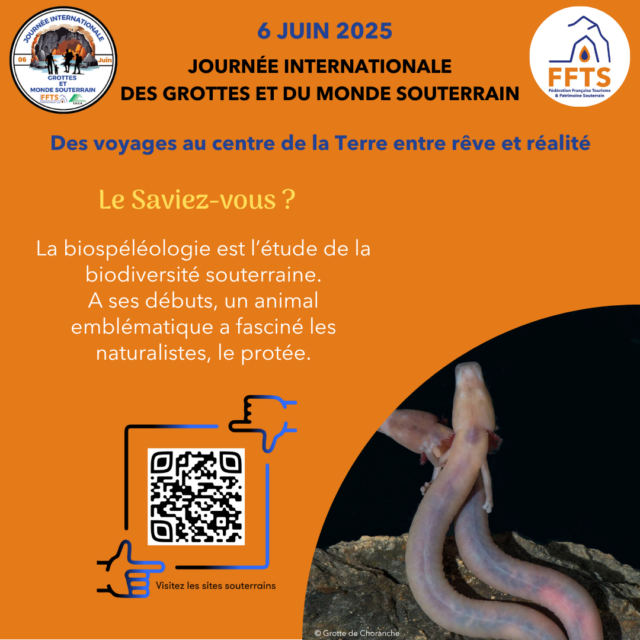 jigms-2026_saviezvous-biospel-2