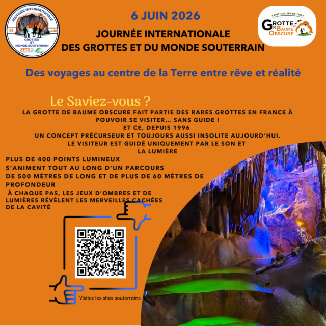 jigms-2026_saviezvous_baumeobscure