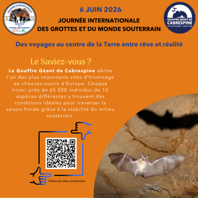 jigms-2026_saviezvous_cabrespine